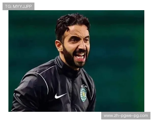 西汉姆联现任英超主教练简介与背景